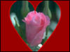 Send Free Love Egreeting - You Are In My Heart